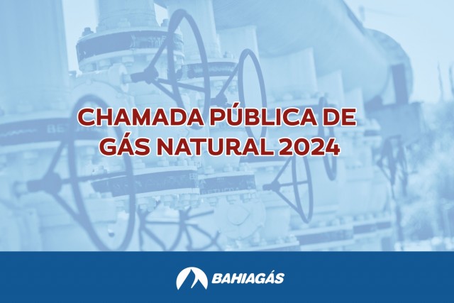 Bahiagás lança Chamada Pública para aquisição de Gás Natural 2024